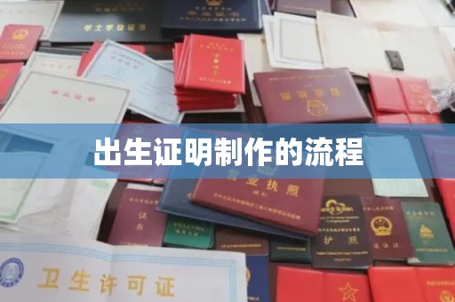 兰陵出生证明制作的流程